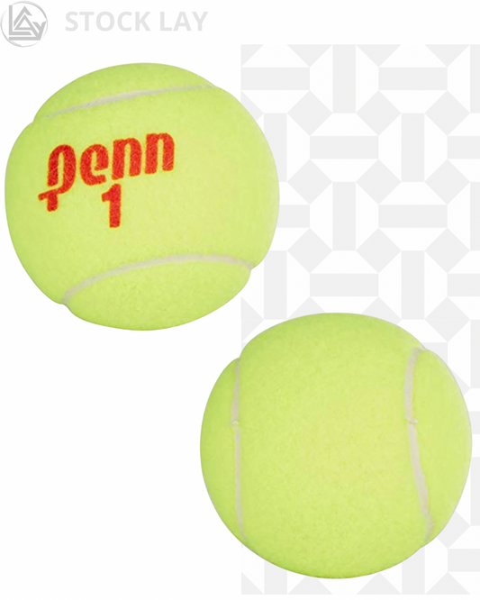 Penn Championship Tennis Balls – Regular Duty Felt Pressurized Tennis Balls, 12 Cans (36 Balls)