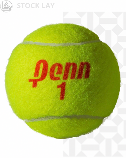 Penn Championship Tennis Balls – Regular Duty Felt Pressurized Tennis Balls, 12 Cans (36 Balls)